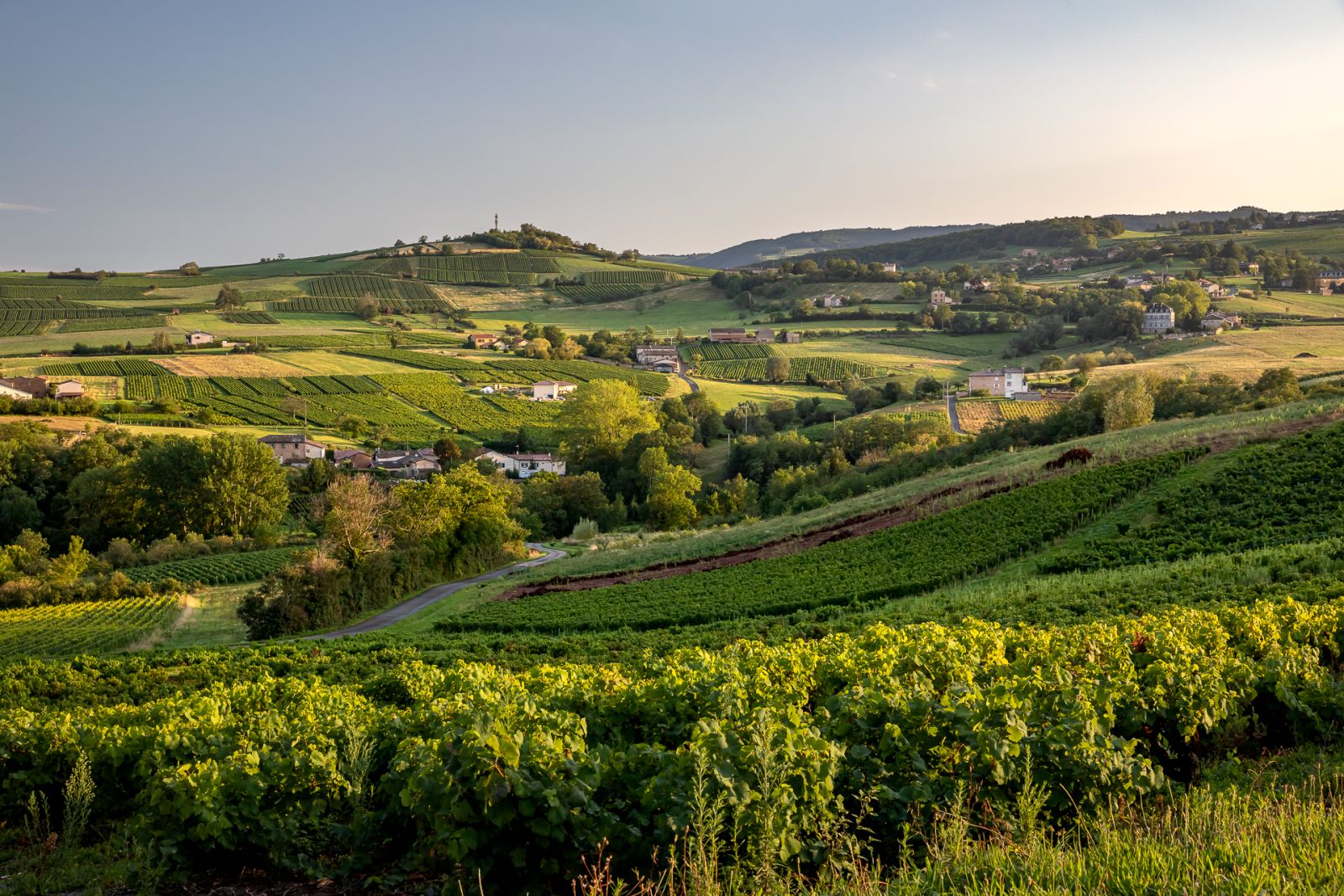 © Beaujolais Wines/Etienne Ramousse Sunlit patchwork of Beaujolais vineyard slopes and villages, showing rolling hills that define the crus’ granite-rich terroir